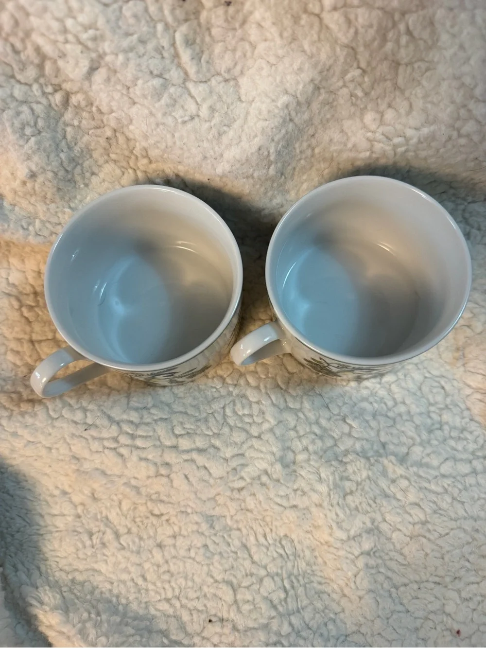 2 Vintage National Wildlife Federation “American Songbirds” Tea Cups. RARE